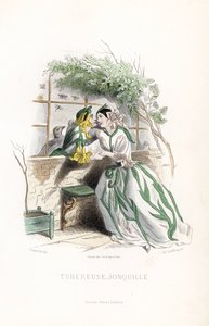 Die Knollenfee und ein Elf-Narzisse werden auf einer Gartenbank neben einer Mauer umworben - Radierung von Charles Geoffroy nach einer Illustration von Jean Ignace Isidore Gerard dit J.J.Granville für Les fleurs animées von Unbekannter Künstler