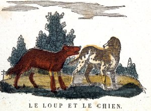 Der Wolf und der Hund, La Fontaines Fabel, frühes 19. Jahrhundert (Gravur) von Unbekannter Künstler