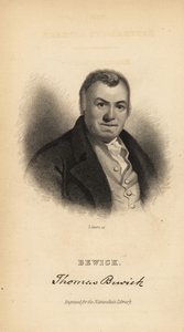 Thomas Bewick, englischer Graveur und Naturgeschichtsschreiber
