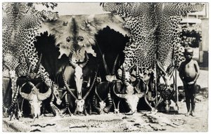 Trophäen, ca. 1910 (s/w Foto)