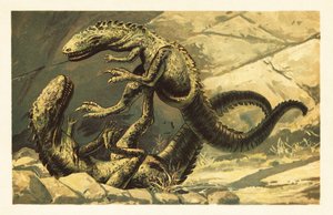 Zwei kämpfende Dryptosaurus aquilunguis. 1908 (Lithografie) von Unbekannter Künstler