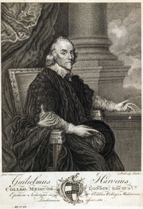 William Harvey, englischer Arzt von Unbekannt