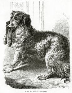Mit den Hausschuhen seines Meisters (1902)