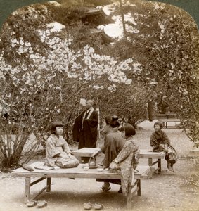 Eine Familie genießt ein Picknick unter den Kirschblüten, Omuro Gosho, Kyoto, Japan, 1904