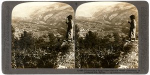 Eine Seidenraupenplantage in den Libanonbergen, Syrien, 1900er Jahre von Underwood and Underwood