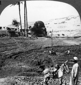 Klippen-Gräber der Herren von Assiut, Ägypten