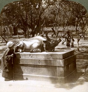 Andächtige Frau streichelt einen bronzenen Stier zur Heilung von Rheuma, Kitano Tenjin Tempel, Kyoto, Japan von Underwood and Underwood
