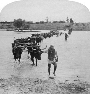 Durchquerung des Modder River, Burenkrieg, Südafrika
