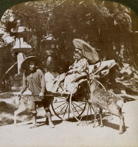 Mädchen füttert heilige Hirsche auf dem Weg zum Gebet, Gelände des Kasuga-Tempels, Nara, Japan, 1904 von Underwood and Underwood