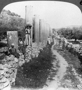 Herods Säulenstraße, Samaria, Palästina Israel