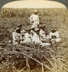 Auf der Zuckerplantage La Union, San Luis, Provinz Santiago, Kuba, 1899 von Underwood and Underwood