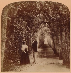 Queen Marys Laube, Hampton Court, London, England, 1896 von Underwood and Underwood