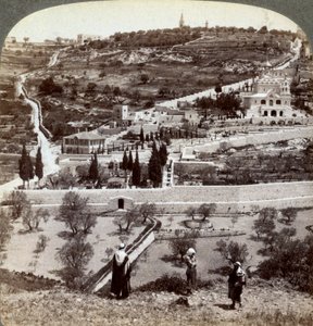 Der Garten Gethsemane und der Ölberg, Palästina, 1908 von Underwood and Underwood
