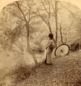 Die goldenen Tage des Herbstes in Japan, 1896
