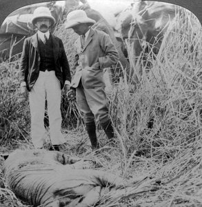 Der tote Menschenfresser, Behar-Dschungel, Indien