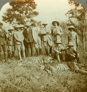 Tigerjagd, Cooch Behar, Westbengalen, Indien, um 1900er Jahre