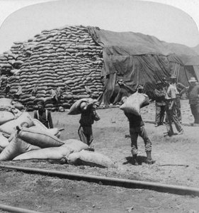 Tonnenweise Hafer für Tommys treuen Freund, De Aar, Südafrika, Burenkrieg, 1900
