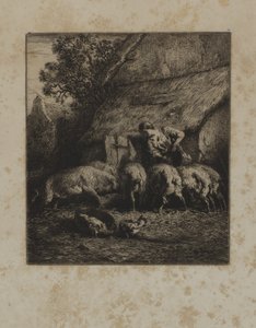 Frau füttert Schweine