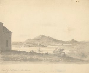 Rückseite von East Rock, New Haven von Unknown