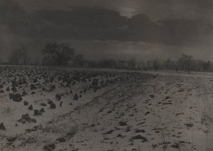 Kohlfeld unter Schnee von Unknown