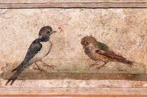Schwalbe und Spatz, römisches Wandgemälde aus Boscoreale bei Pompeji, 1. Jahrhundert von Unknown