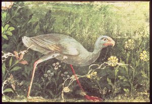 Wandmalerei eines Sultan-Huhns in einem Garten, Pompeji, 1. Jahrhundert n. Chr. von Unknown