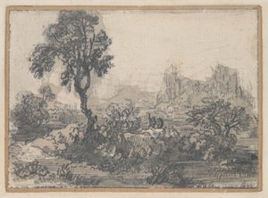 Waldlandschaft