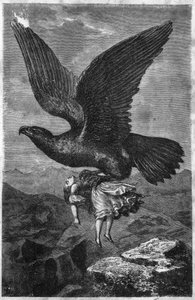 Entführung eines Kindes durch einen Königlichen Adler von Unknown artist