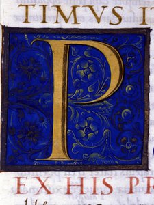 Alphabet: miniaturisierter Buchstabe P