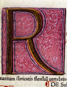 Alphabet: miniaturisierter Buchstabe R von Unknown artist