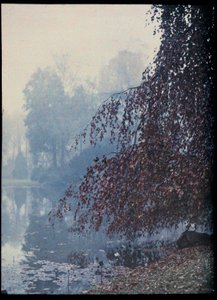 Herbstlandschaft, See und roter Baum im Nebel - ca. 1920 (Herbstlandschaft, See und roter Baum im Nebel) Autochrome anonyme Privatsammlung von Unknown Artist