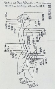 Chinesische Akupunktur: der Meridian der drei Erwärmer von Unknown artist
