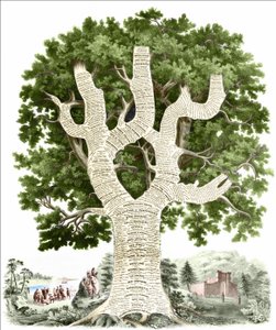 Chronologische Übersicht der amerikanischen Geschichte, dem Volk der Vereinigten Staaten gewidmet vom Herausgeber. Gravur ca. 1881