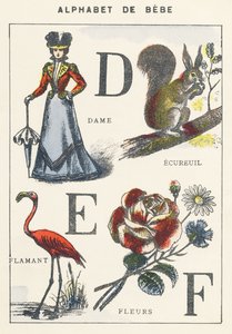 D E F: Dame, Eichhörnchen, Flamingo, Blumen