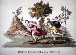 Daphne verfolgt von Apollon - im Dizionario mitologico von Unknown artist