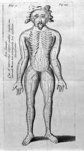 De Acupunctura von W. Ten Rhijne. London 1683. Erster westlicher Text über Akupunktur von Unknown artist