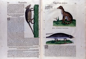 Doppelseite der Historia Animalium von Conrad Gesner (1516-1565), Tiguri