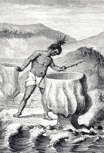 Gravur, die eine Art Schwamm namens Neptuns Becher darstellt
