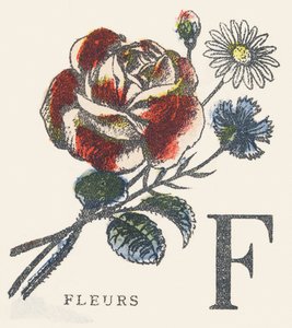 F: Blumen von Unknown artist