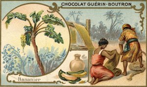 Stoff aus Bananenschalenfasern. Chromolithographie, Verpackung von Guérin Boutron Schokoladen.