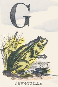 G: Frosch