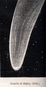 Halleyscher Komet 1835 - Gravur um 1867 von Unknown artist