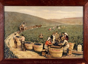 Ernte bei Bollinger, um 1900