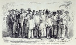 Geschichte der französischen Kolonien: Chinesische Einwanderer arbeiten in Guadeloupe. Zeichnung nach Fotografie des späten 19. Jahrhunderts