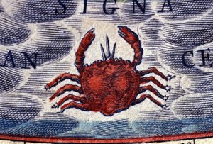 Horoskop: Sternzeichen Krebs. Gravur aus dem 16. Jahrhundert