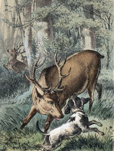 Illustration von Franz Hoffmanns Erzählungen „Märchen und Fabeln - Die 2 Hirsche“: Ein Hirsch läuft weg und der andere kämpft mit einem Hund. Chromolithographie des 19. Jahrhunderts