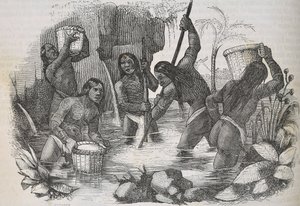 Indianer von der Insel Hispaniola beim Goldwaschen