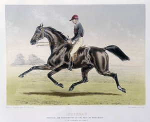 Inkerman - in „Der Centaur“ von Unknown artist