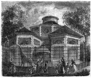 Jardin des Plantes in Paris im Jahr 1861: Rotunde der Elefanten und Giraffen von Unknown artist