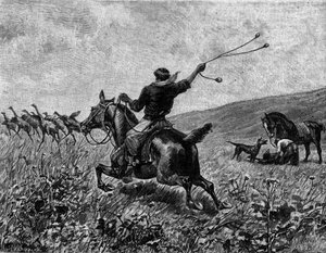 Lasso: Jagd auf Kasuar mit Ball-Lasso. Gravur in „Le Journal de la jeunesse“ von Unknown artist